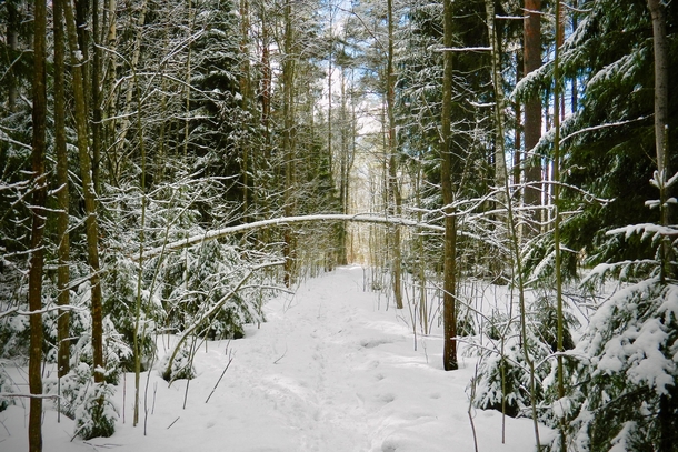 Porvoo Uusimaa Finland Im gonna miss winter 