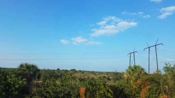 Power Lines Florida Interior 