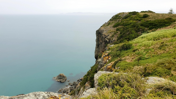 Pretty cliffside from The Nut in Tasmania   x 