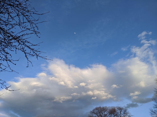 Pretty clouds with the moon