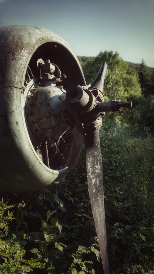 Propeller of an abandoned Douglas C- 