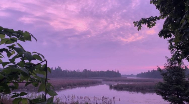 purple haze morning in the Kawartha Lakes Canada