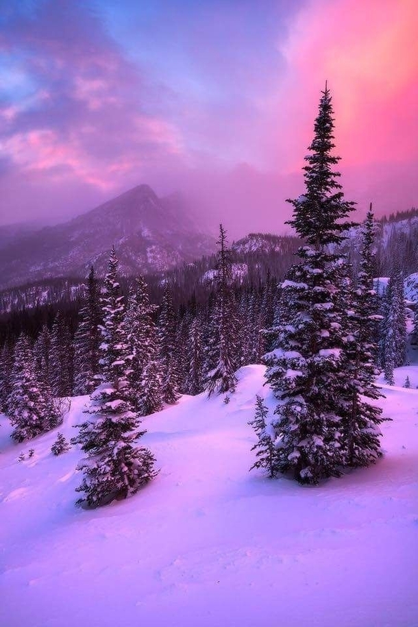 Purple sunset in the snow