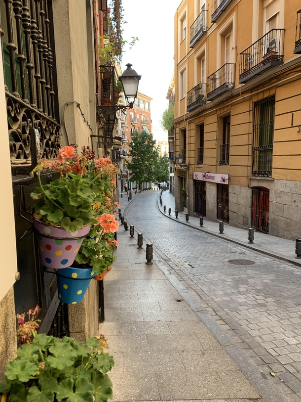 Quiet Madrid Street