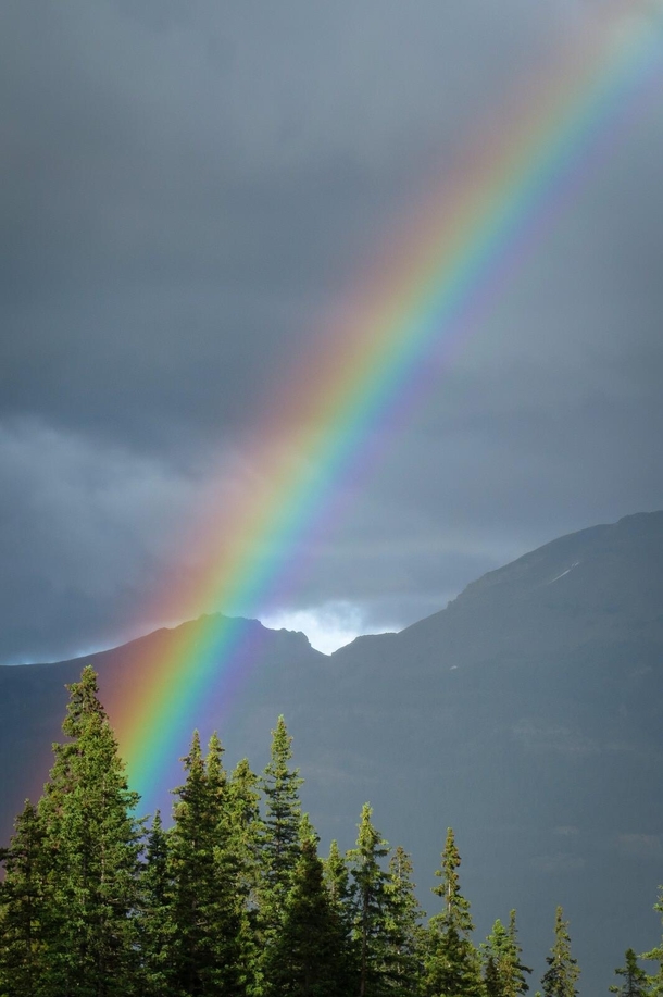 Rainbow in Banff  summers ago 