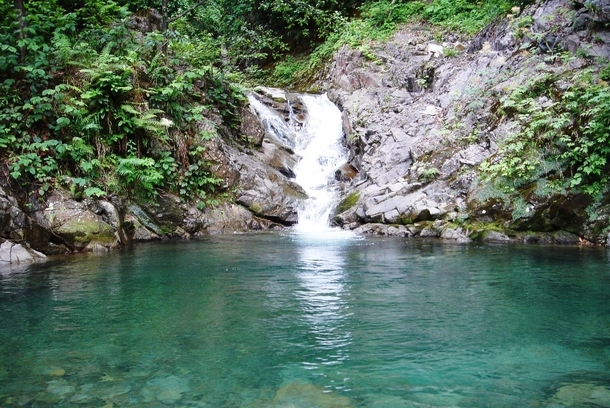 Rainforest pool in Cayeli Rize Turkey 