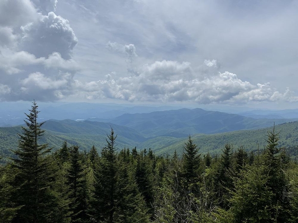 Random view from Clingmans Dome x 