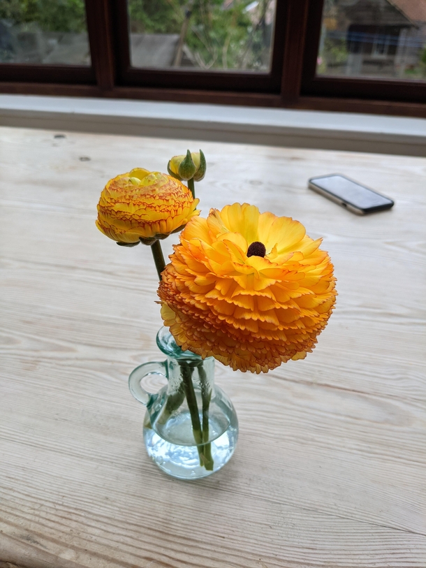 Ranunculus asiaticus I think mum sets a pretty kitchen table