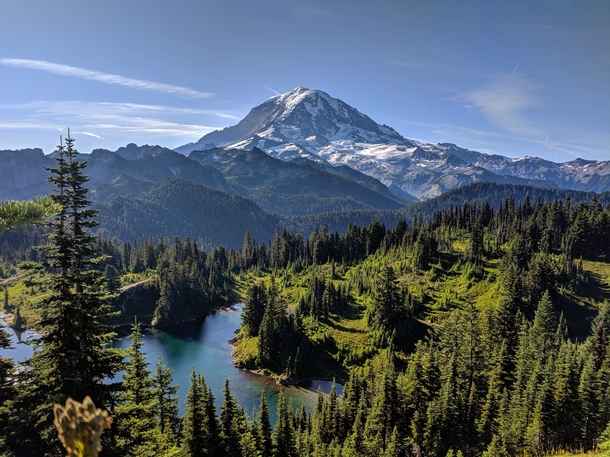 Really like how this picture turned out Hope you guys feel the same way Wonderful morning at Mt Rainier National Park WA  