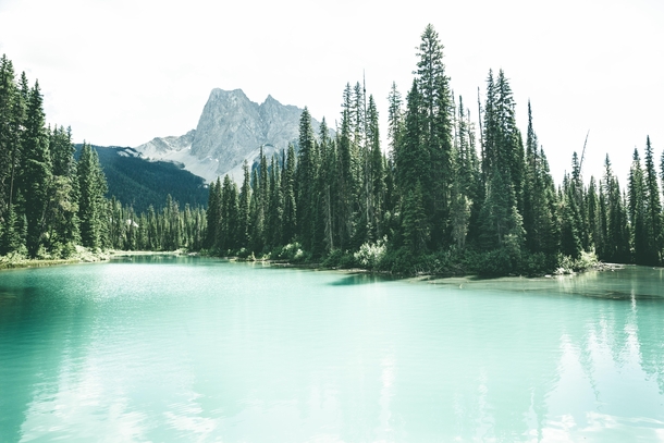 Recently been finding some confidence in my photography and would love some others opinions Emerald Lake BC Canada 