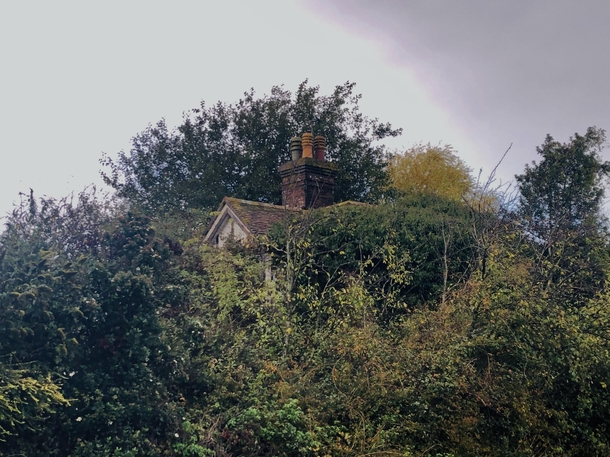 Recently explored an abandoned cottage amp farm where everything has been left behind Here you can see the chimney poking up through the trees where nature has completely taken over Link in comments for more 