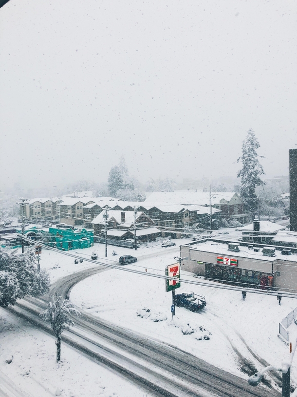Record breaking snowfall in Eugene OR  inches over night