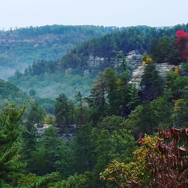Red River Gorge KY on a fall morning