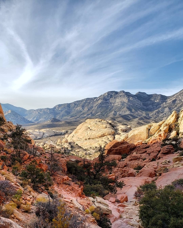 Red Rock Canyon National Conservation Area Las Vegas Nevada USA 