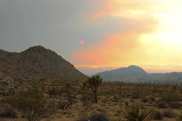 Red sun through a dust storm in Joshua Tree CA 