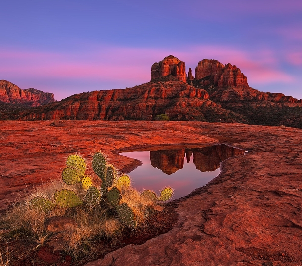 Red under a red sky sunset in front of Cathedral Rock Sedona Arizona  by Danilo Faria