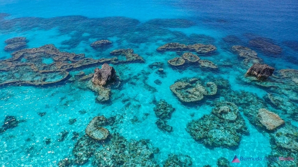 Reefs in Bermuda 