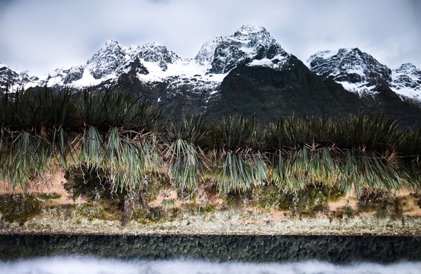 Reflection Fjordland National Park Mirror Lakes NZ  Original Res  x  pix