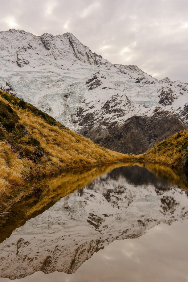 Reflections at Sealy Tarns on the South Island of NZ OC x
