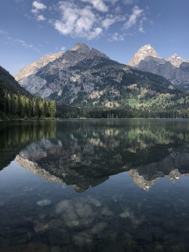Reflections in the Tetons  x  