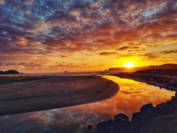 Reflections of a Buffalo Bay sunrise NZ