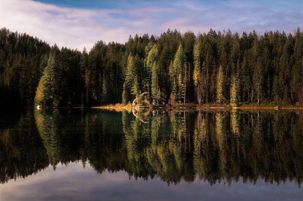 Reflections on a lake in Oregon 