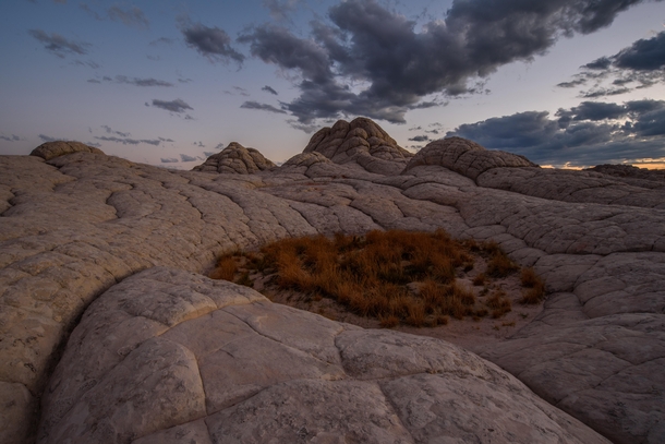 Refuge in the Brain Rock - Vermillion Cliffs National Monument AZ 