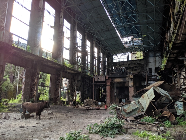 Remains of power plant with interrupting cow - Tkvarcheli Abkhazia