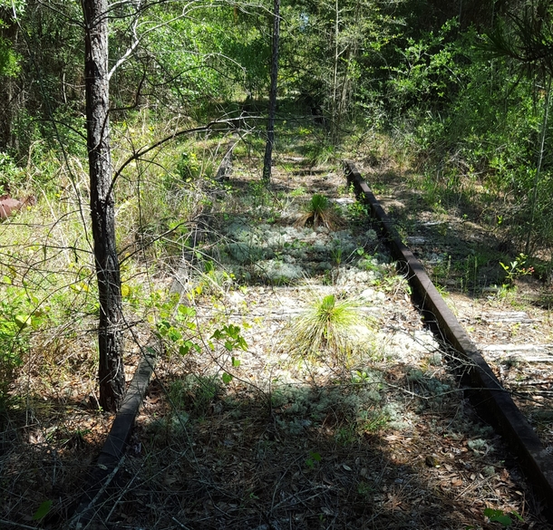 Remnants of the Air Force Railroad