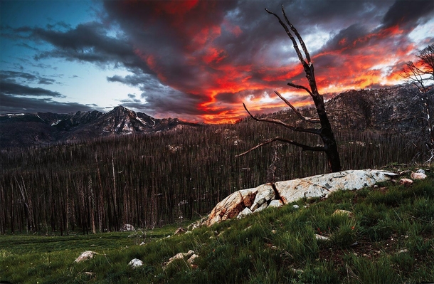 Remnants of the  Tripod fire ft Windy Peak to the left Pasayten Wilderness WA 
