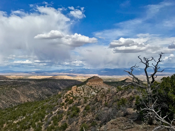 Rendija and Barrancas Canyons in Los Alamos NM    