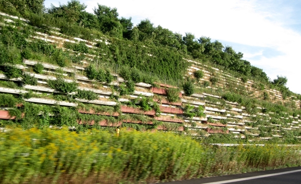 Retaining wall planters along the German Autobahn 