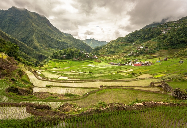 Rice terraces Bated Philippines by Adisimionov 