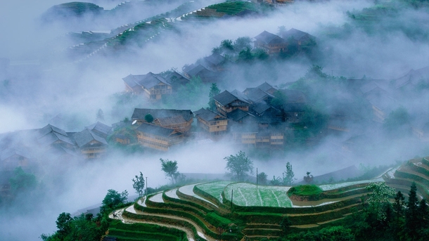 Rice terraces in Longsheng county Guilin China Between -m above sea level the terraced fields were mostly built about  years ago 