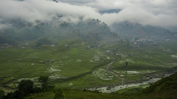 Rice terraces in Sapa Vietnam 