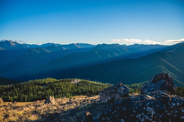 Ridges within Olympic National Park - Washington USA 