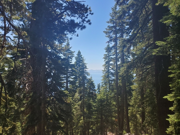 Rifle Park Trail NV with a peak of Lake Tahoe in the distance OC  x 