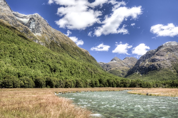 River Grassland Forest and Mountains of the Caples Valley Fiordland National Park 