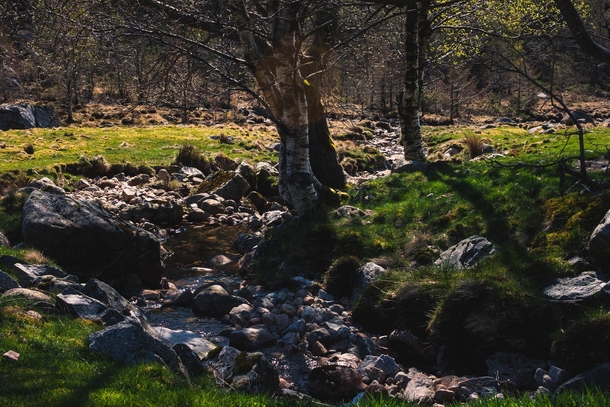 River running slowly between rocks in the green grass Ualand Norway 