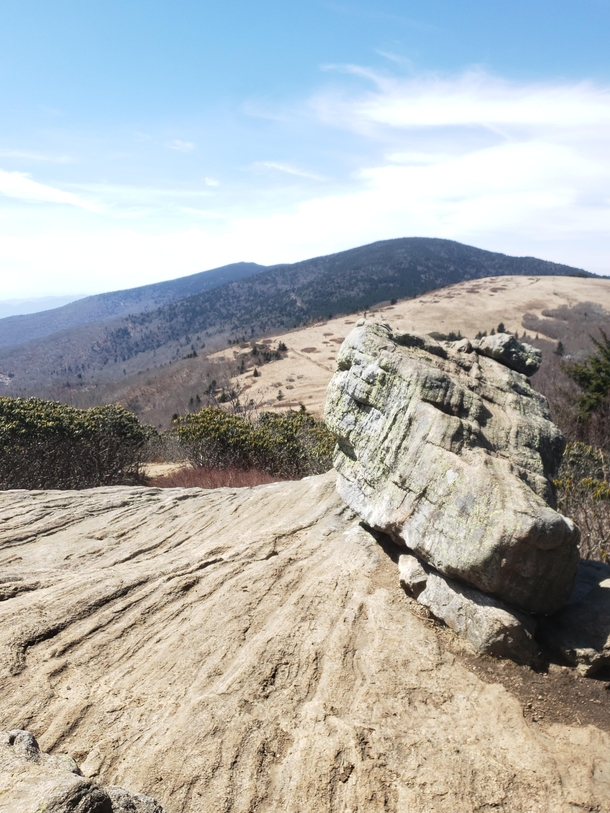 Roan Mountain Balds Appalachian trail Tennessee  OC