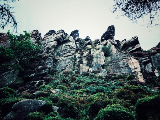 Rock face at The Roaches Peak District UK 