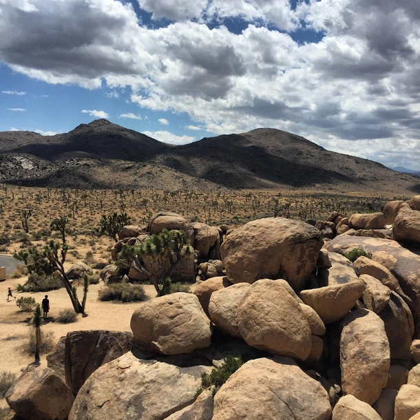 Rolling clouds over the expanse of Joshua Tree National Park x 