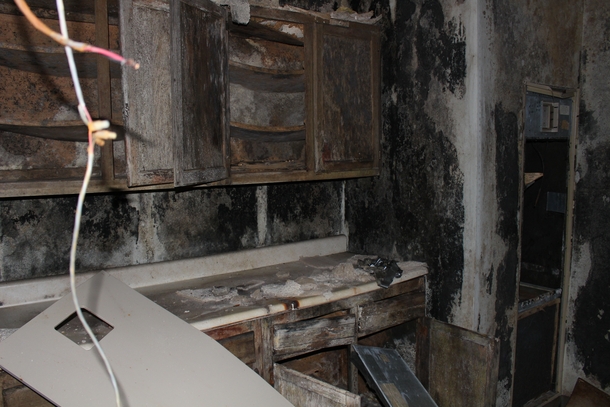 Room absolutely covered in black mold found at an old abandoned hospice 