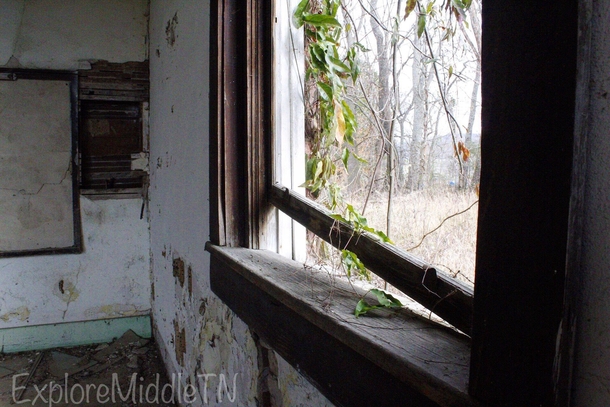 -Room schoolhouse abandoned in  Nature always reclaims