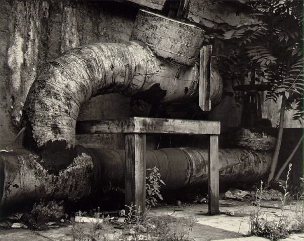 Rotted ducts Rochester  by Minor White 