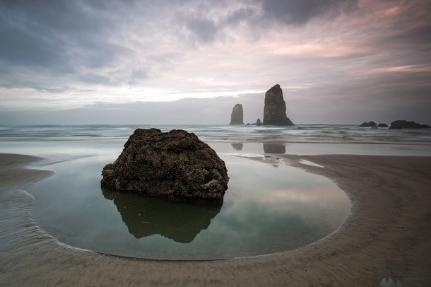 Round pool surrounds a rock on Cannon Beach at dawn as the tide goes out By Sophie Carr Photography 