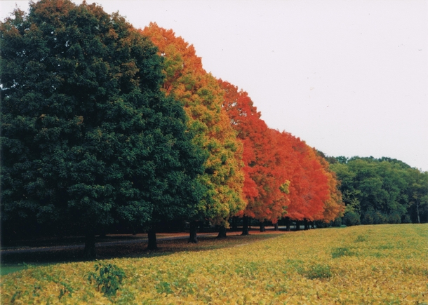 Row of Colors in Vineland New Jersey Taken  