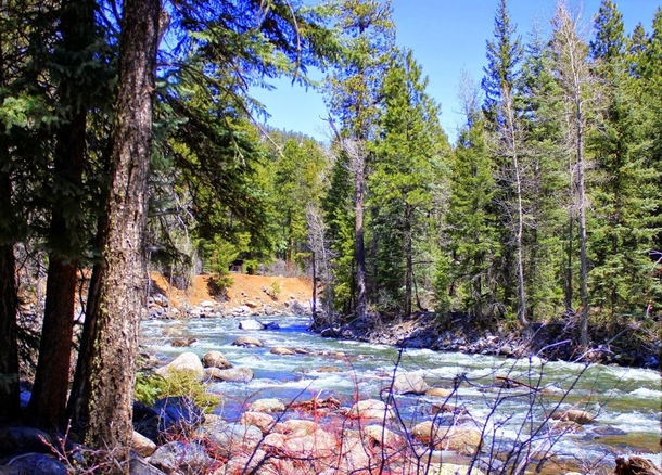 Rushing River in San Juan National Forest 