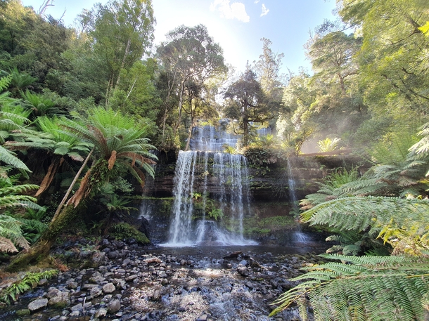 Russel Falls Tasmania Australia 