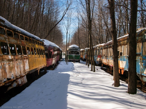 Rusting streetcars in the Pennsylvania woods